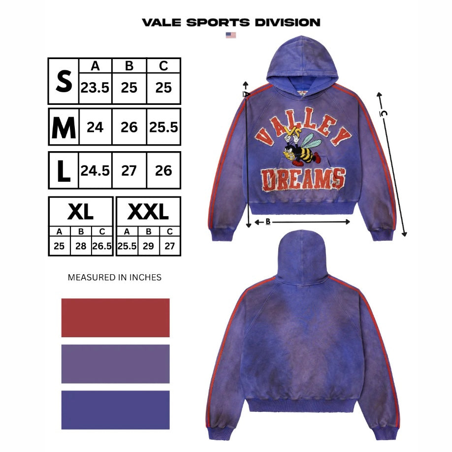 Vale Mauve Anthem Hoodie