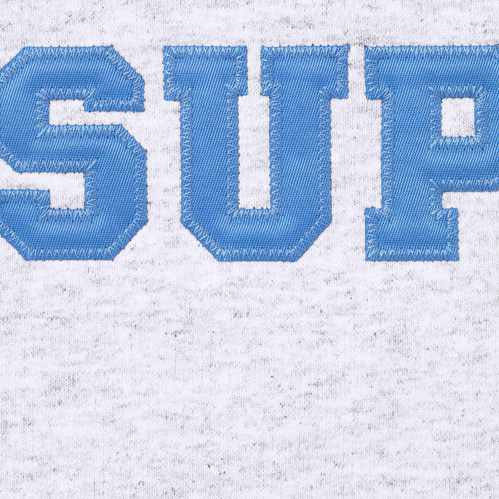 Supreme Ash Grey Collegiate Applique Zip Hoodie