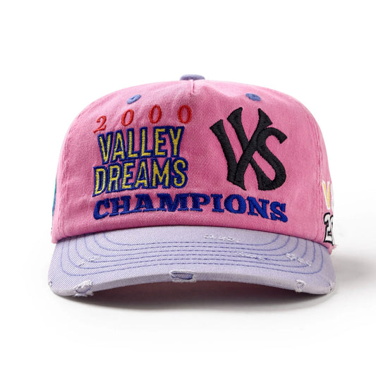 Vale Piggy Bank Snap Hat