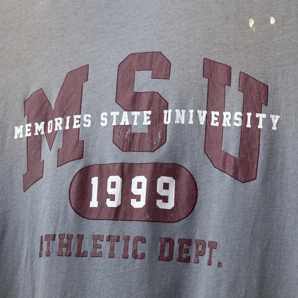 Close-up of the MSU Memories State University 1999 Athletic Dept collegiate print