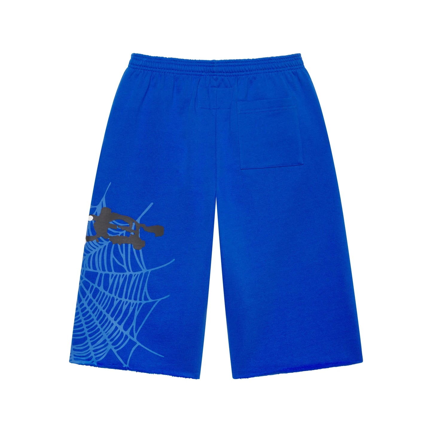 Sp5der Tory Blue Heavy Web Sweat Shorts