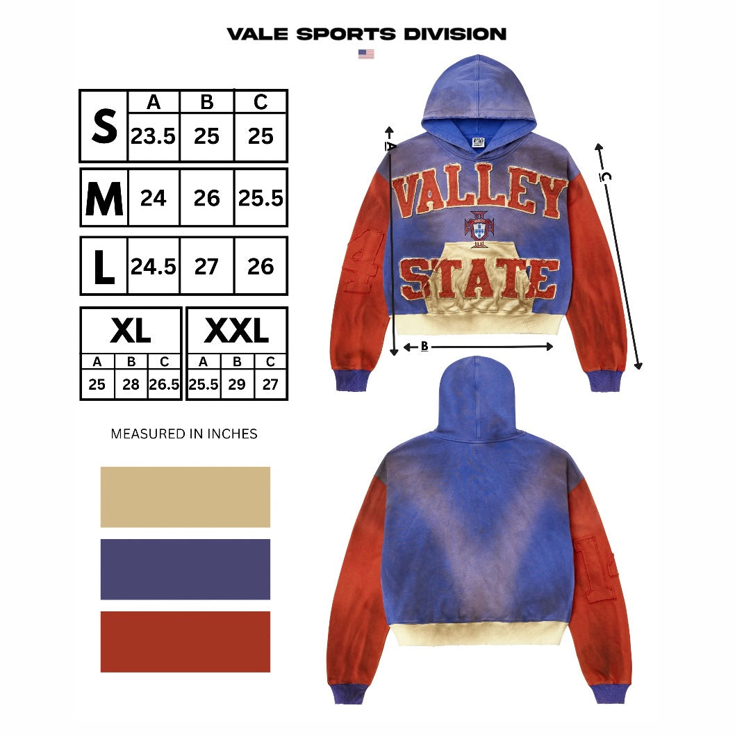 Vale Alumni Hoodie