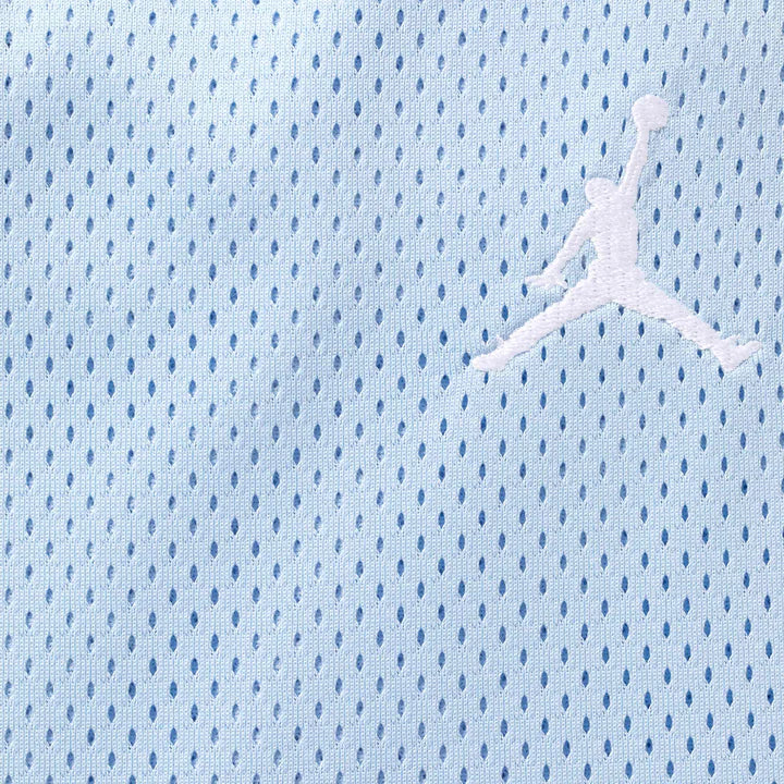 Supreme Jordan Light Blue Basketball Shorts