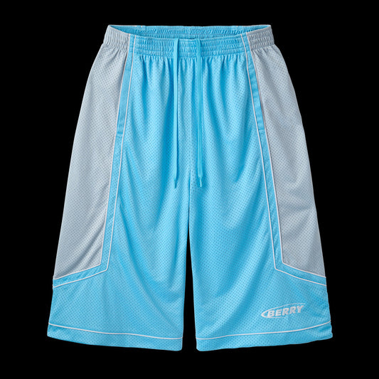 GV Gallery Carmelo Basketball Shorts