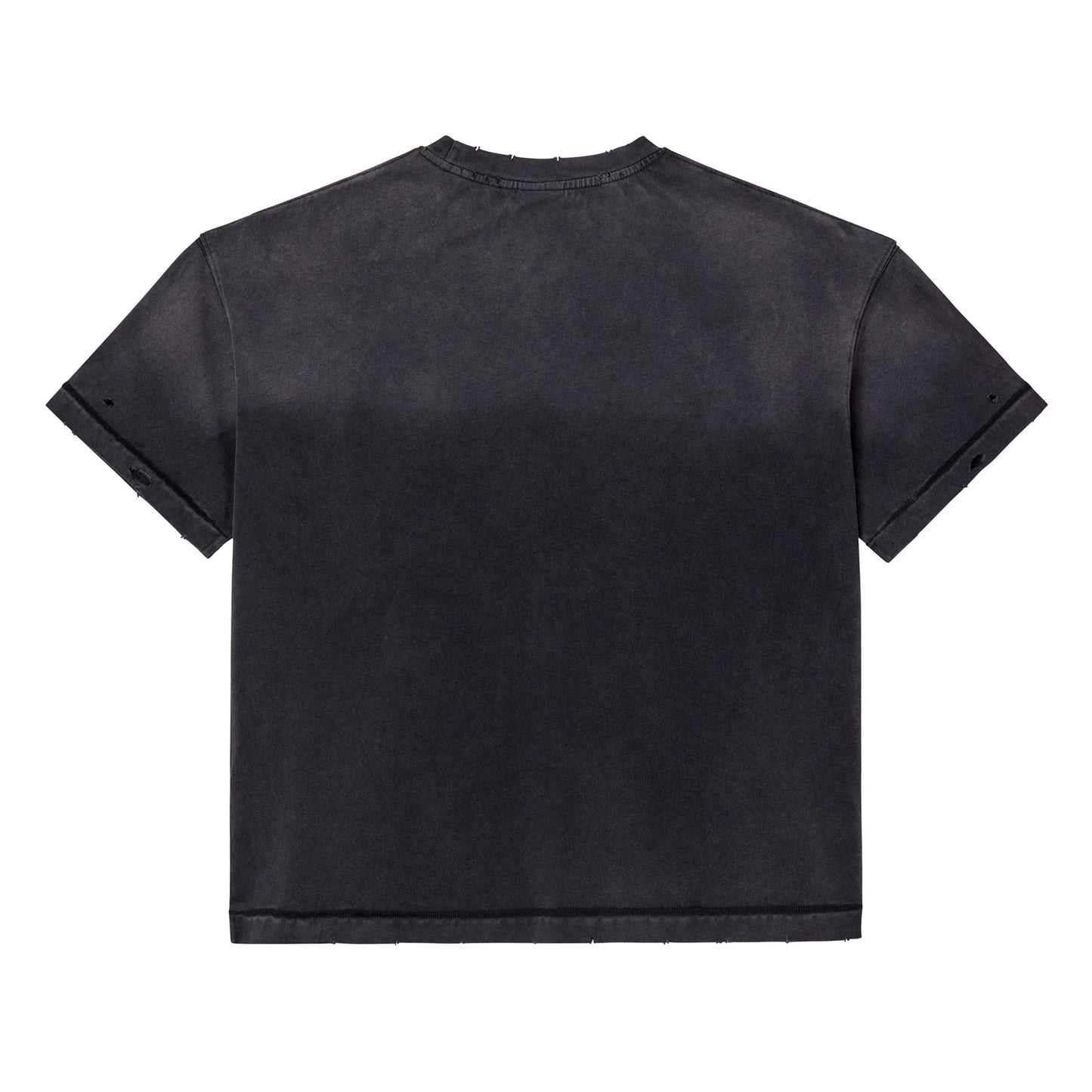 Vale Rottweiler Big T-Shirt
