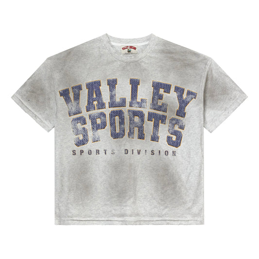 Vale Gym Grey Sports Division T-Shirt