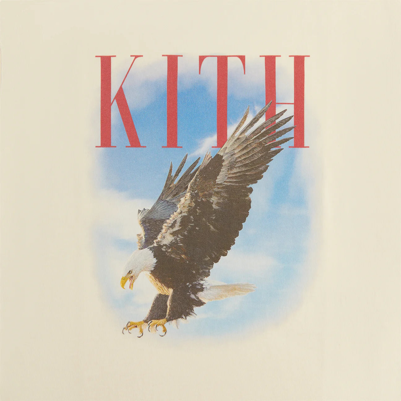 Kith Sandrift Eagle T-Shirt Close View