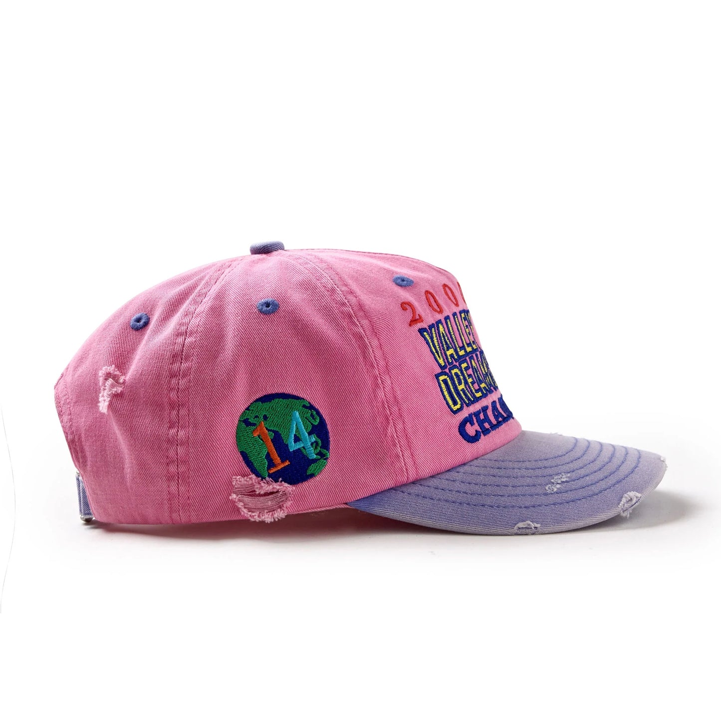 Vale Piggy Bank Snap Hat