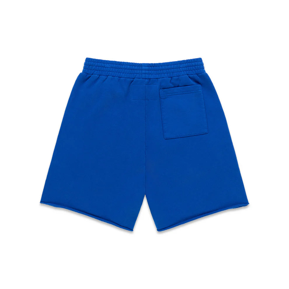 Sp5der Blue OG Logo Sweatshorts