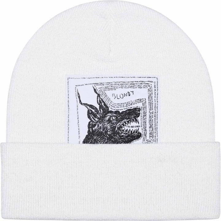 Supreme The North Face White Beanie Front